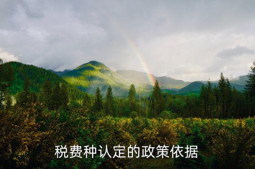 什么是稅費種認定信息查詢，稅費種認定信息在哪里查看