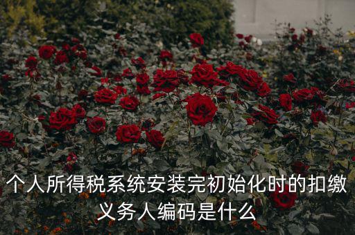 扣繳人義無編碼是什么，扣繳義務(wù)人編碼是什么