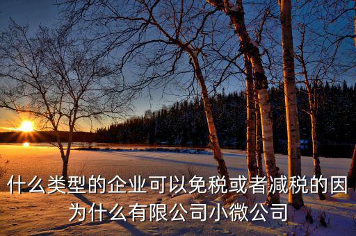 什么樣的企業(yè)可免稅，請(qǐng)問(wèn)什么樣的公司可以得到免稅