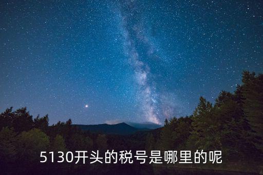 四川一般納稅人稅號以什么開頭，5130開頭的稅號是哪里的呢