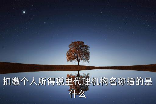 扣繳個人所得稅里代理機(jī)構(gòu)名稱指的是什么