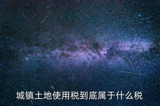城鎮(zhèn)土地使用稅屬于什么稅種，城鎮(zhèn)土地使用稅到底屬于什么稅