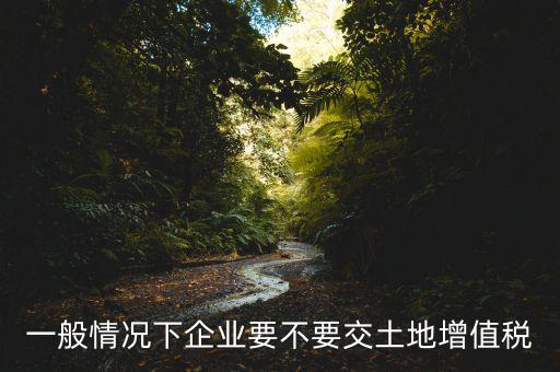 什么企業(yè)交土地增值稅，一般情況下企業(yè)要不要交土地增值稅