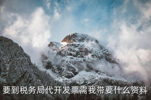 個(gè)人稅務(wù)局代開發(fā)需要什么資料，稅局代開發(fā)發(fā)票需要帶什么資料