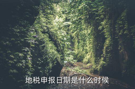 地稅清稅報(bào)告時(shí)間是什么原因，每月稅務(wù)申報(bào)時(shí)間什么時(shí)候
