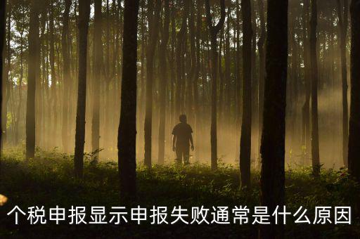 個(gè)稅申報(bào)系統(tǒng)為什么不能反饋，為什么個(gè)人所得稅申報(bào)以后反饋信息失敗