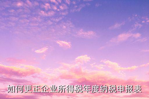 辦稅大廳改報表需要什么，去稅務(wù)局營業(yè)大廳申報納稅需要帶哪些材料