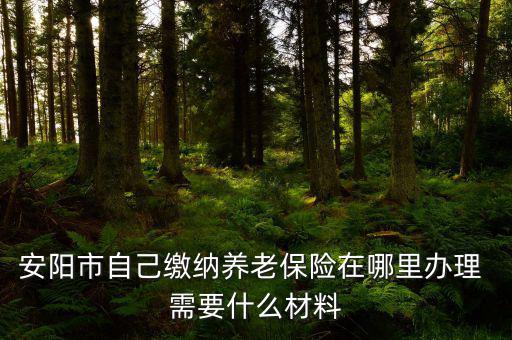 安陽(yáng)地稅局交個(gè)人保險(xiǎn)在什么地方，安陽(yáng)市醫(yī)保交費(fèi)在哪里地稅局