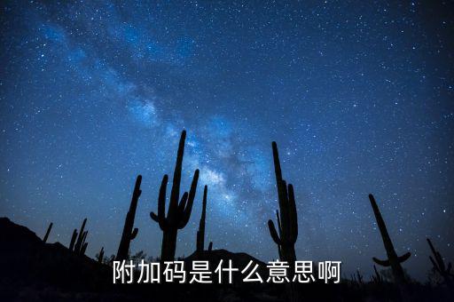 遼寧查發(fā)票有一個附加碼是什么，發(fā)票真?zhèn)尾樵兇a是什么