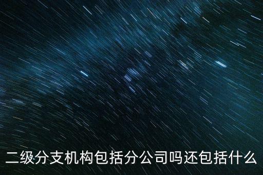 什么是二級(jí)分支機(jī)構(gòu)，現(xiàn)在分公司要辦稅務(wù)登記證但是我想問一下二級(jí)分機(jī)構(gòu)指的是