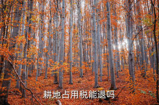 耕地占用稅什么情況可以退，占用耕地罰款后拆遷還能退嗎
