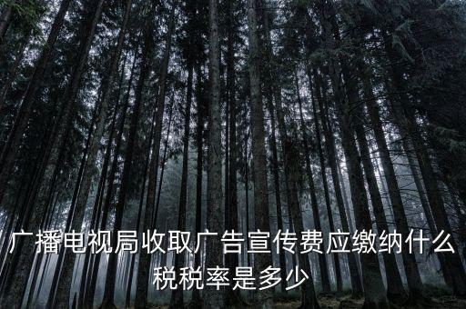 宣傳費(fèi)屬于什么稅，廣播電視局收取廣告宣傳費(fèi)應(yīng)繳納什么稅稅率是多少