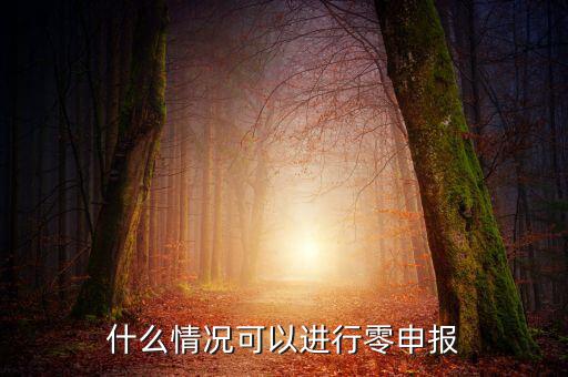 什么情況下可以一鍵零申報，什么情況可以進行零申報