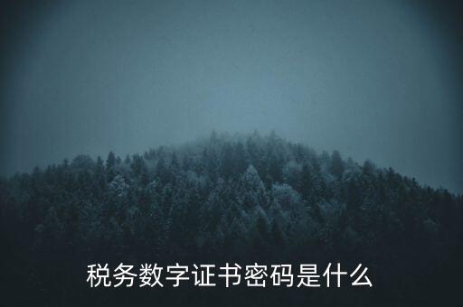 輸入稅務(wù)數(shù)字證書(shū)密碼是什么，稅務(wù)數(shù)字證書(shū)密碼是什么