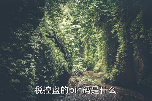 報稅pin口令是什么，稅控盤的pin碼是什么