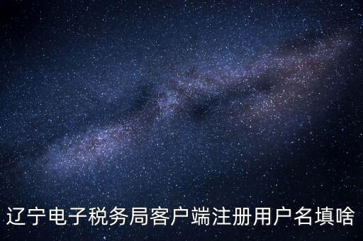 遼寧省網(wǎng)上稅務(wù)局登錄需要什么，遼寧電子稅務(wù)局客戶端注冊用戶名填啥