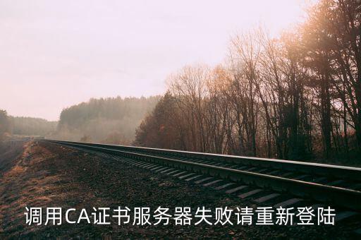 調用CA證書服務器失敗請重新登陸