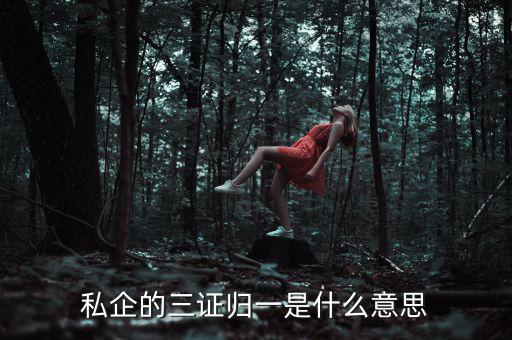公司的三證合一是什么，什么是三證合一