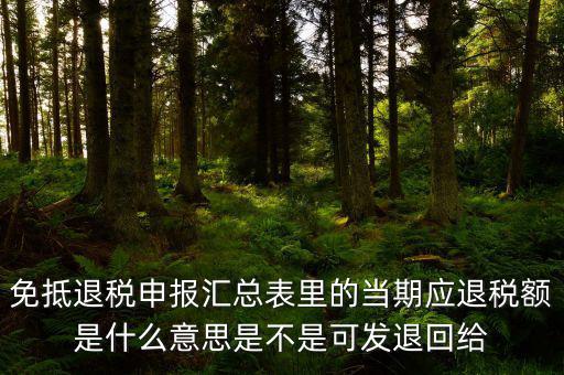 免抵退貨物應(yīng)退稅額是什么意思，免抵退應(yīng)退稅額是什么意思