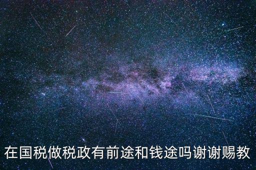 在國(guó)稅做稅政有前途和錢(qián)途嗎謝謝賜教