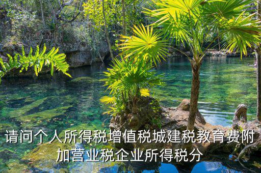 請問個(gè)人所得稅增值稅城建稅教育費(fèi)附加營業(yè)稅企業(yè)所得稅分
