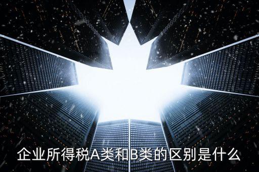 環(huán)境保護(hù)稅a類(lèi)和b類(lèi)什么區(qū)別，企業(yè)所得稅a類(lèi)表和b類(lèi)有什么區(qū)別