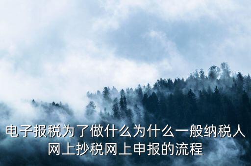 電子稅務申報是什么來的，電子申報納稅是怎么回事給報送紙質申報材料一樣嗎