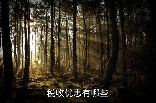 什么是稅收優(yōu)惠，稅收優(yōu)惠有哪些