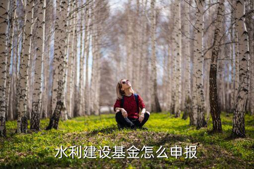 地方水利建設(shè)基金什么時間申報，水利建設(shè)基金怎么申報