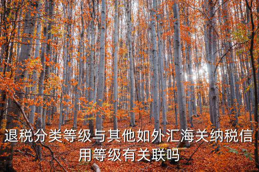 退稅分類等級(jí)與其他如外匯海關(guān)納稅信用等級(jí)有關(guān)聯(lián)嗎