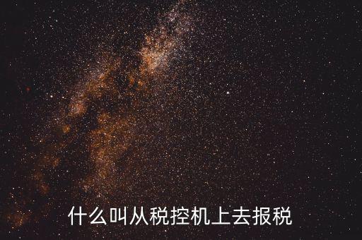 什么是稅控機的即時申報，稅控機申報記錄甚么意思