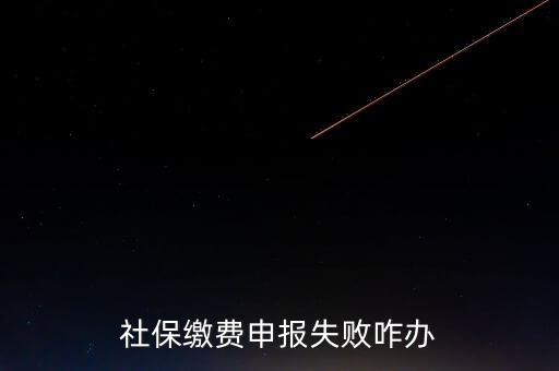 社保費(fèi)申報(bào)為什么進(jìn)不去，社保繳費(fèi)申報(bào)失敗咋辦