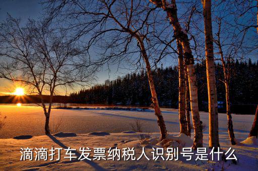 稅優(yōu)識(shí)別號(hào)是什么，滴滴打車發(fā)票納稅人識(shí)別號(hào)是什么