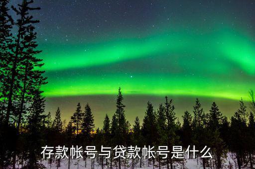 報存款賬號什么意思，到銀行存款 那個存款賬號是什么啊