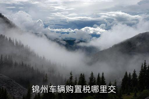 錦州國稅局車輛購置部門是什么，錦州機動車購置稅在哪里交