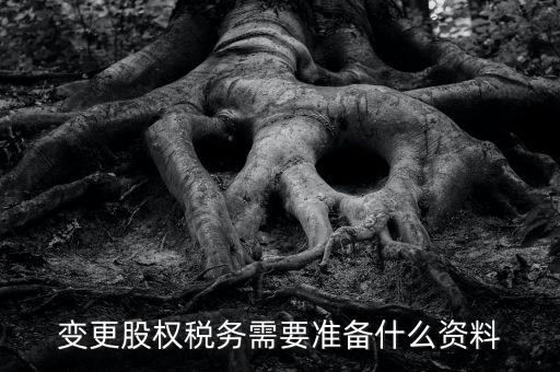 股權(quán)變更完稅憑證需要什么資料，變更股權(quán)稅務(wù)需要準(zhǔn)備什么資料
