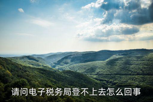 貴州省電子稅務(wù)局為什么進(jìn)不去，請問電子稅務(wù)局登不上去怎么回事
