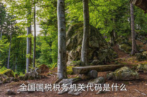 國稅的用戶代碼是什么，國稅局發(fā)票軟件里用戶代碼和密碼是什么