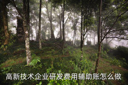 研發(fā)支出輔助賬是什么時候填，什么企業(yè)需要填 研發(fā)支出輔助賬匯總表