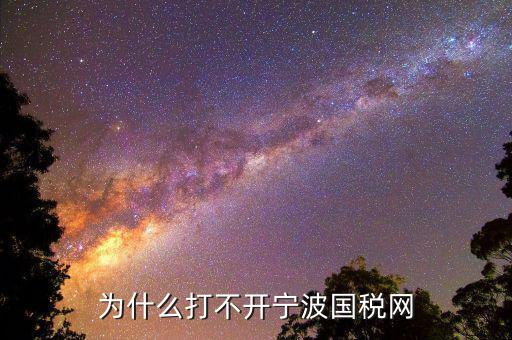 寧波國稅app為什么登陸不上，為什么打不開寧波國稅網(wǎng)