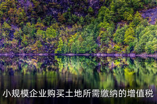 公司購買土地需要交什么稅，小規(guī)模企業(yè)購買土地所需繳納的增值稅