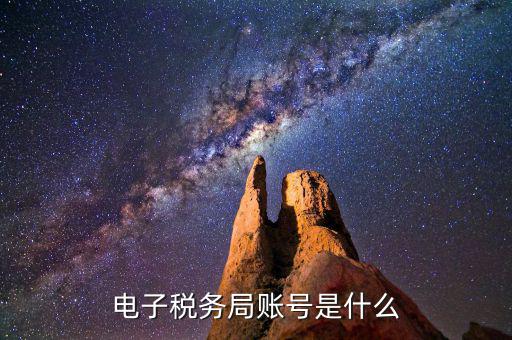浙江省網(wǎng)上稅務(wù)局的賬號是什么意思，電子稅務(wù)局賬號是什么號碼