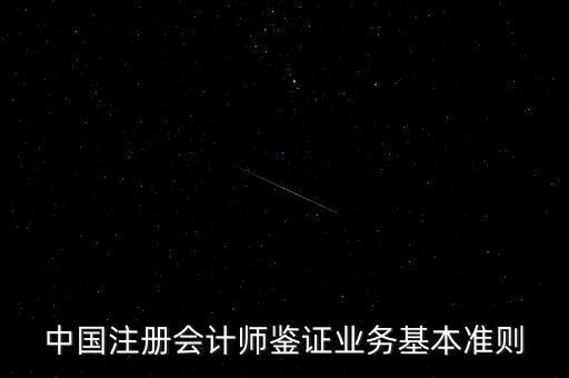 中國注冊(cè)會(huì)計(jì)師鑒證業(yè)務(wù)基本準(zhǔn)則