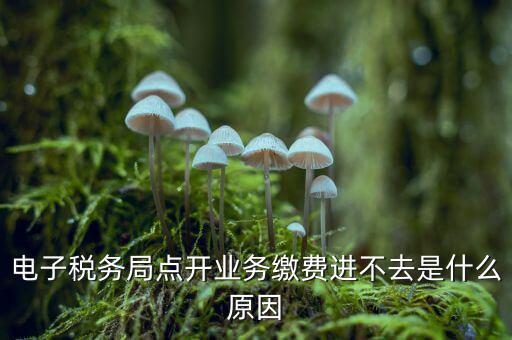 為什么江蘇省電子稅務局進不去，請問電子稅務局登不上去怎么回事