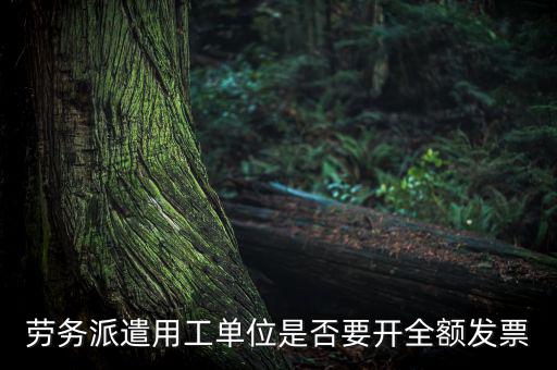 勞務(wù)派遣開(kāi)什么票，勞務(wù)派遣小時(shí)工發(fā)票怎么開(kāi)