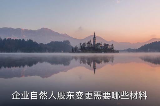 變更自然人登記業(yè)務(wù)需要帶什么，企業(yè)自然人股東變更需要哪些材料
