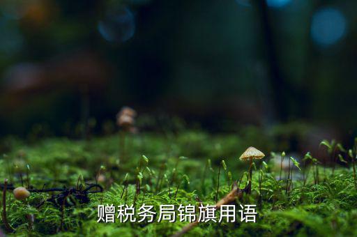 送錦旗給稅局可以寫什么內(nèi)容，贈稅務局錦旗用語
