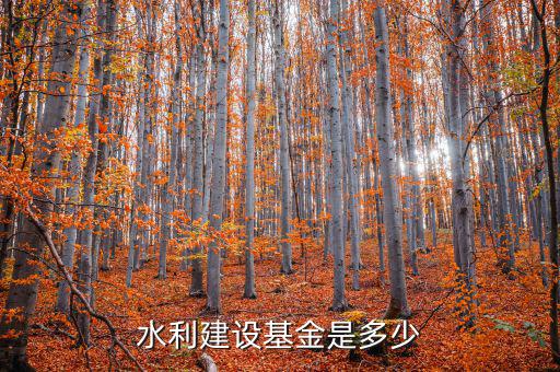水利建設(shè)基金什么行業(yè)，水利工程這個專業(yè)畢業(yè)就業(yè)是什么行業(yè)的工作詳細(xì)工作類別