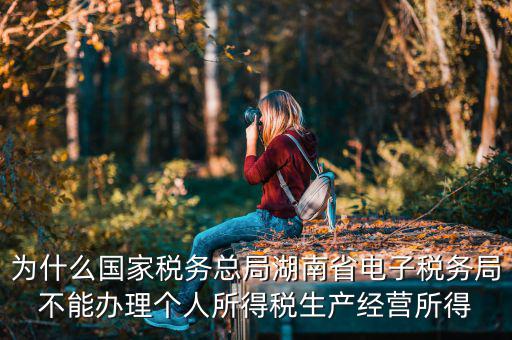 電子稅務(wù)局里面為什么沒有個稅，個人所得稅查不到怎么回事