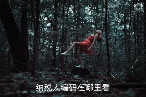 地稅稅源編號(hào)是什么，建筑業(yè)地稅稅源編號(hào)指的是啥